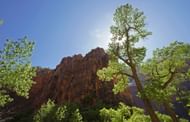 Utah's Zion National Park (Image via Getty)